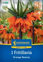 KIEPENKERL PROFI LINE Blumenzwiebel Kaiserkrone 'Orange Beauty', 1 Stück - Vorschau Bild 1